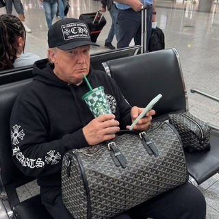 Купить слона