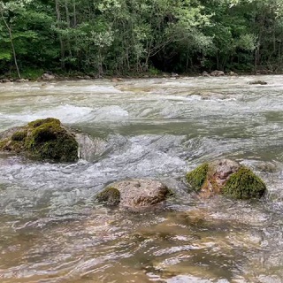 ГУАМКА🏡ОТДЫХ