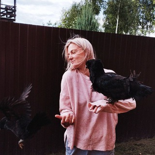 Куры и помидоры