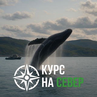 КУРС НА СЕВЕР 🧭 — туры Териберка | Северное сияние | Киты | Гид | Кольский