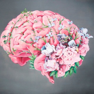 Курсы школы "Мега мозг"