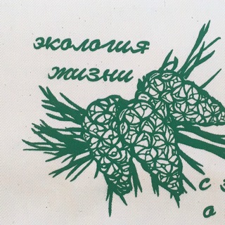 КУЗБАССТРЕЙЛ