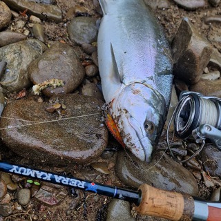 KF.65 Кузмич рыбалка Сахалин