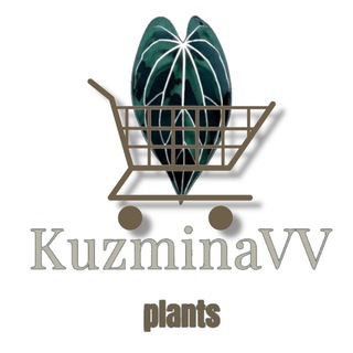 KuzminaVV plants 🌱sale