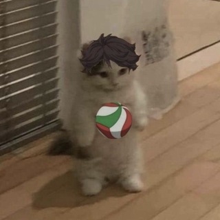 здесь страдает квикс 🌈🐣