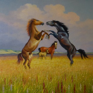 Степная Бурятия