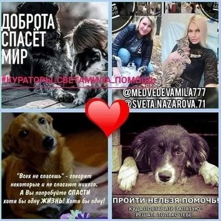 ❤️#кураторы_Света&Мила Помощь хвостикам Ростов на Дону и область у нас 🐶🐱🦮🐕‍🦺🐕150 (с хвостиком)собак 🐶и кошек 🐱