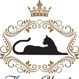 КОШАЧЬЕ ЦАРСТВО