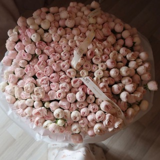 Хронология №21