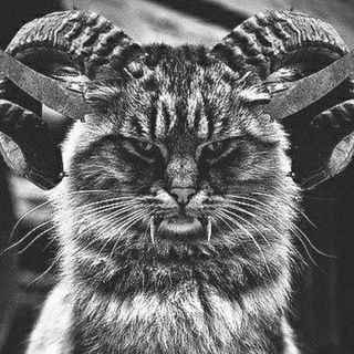 И имя мне Вирус