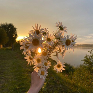 Уютный уголок 🌸