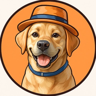 Щенки Лабрадора | Лакшери Лаб