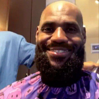 Седина Леброна