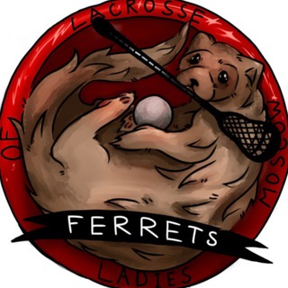 Ferrets || Lacrosse