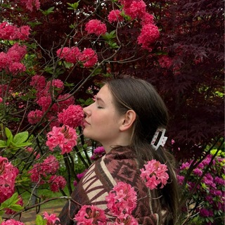 домик под пихтой🌙⛰🏹