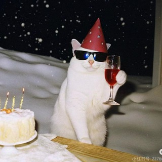 Леди пьют Шампань