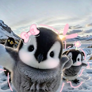 [Реакции для тг премки]-🌀🦭