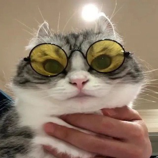 Lampa Ugc | Новости Роблокса