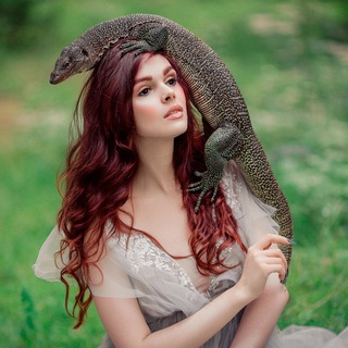 Anima-Life: lanasscales