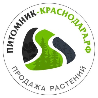 Питомник растений, товары, услуги 🌱 Ландшафтные истории