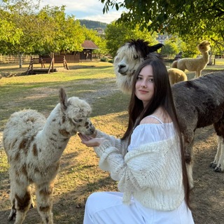 Лани в Лесу 🪺🌳 life & art