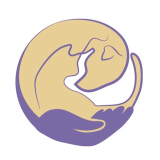 Фонд Лапа Дружбы