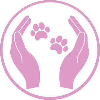 Лапы В Руки🐾