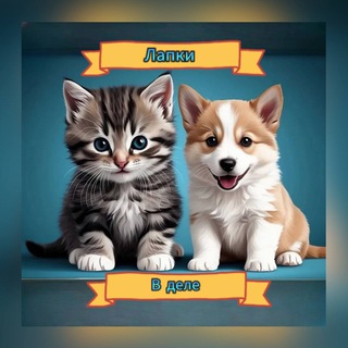 Лапки в деле