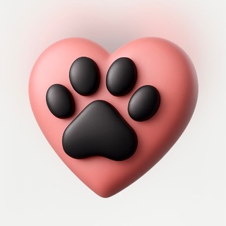 Лапки Хэлп| Собачки из приюта Щербинка Южное Бутово