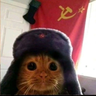 РАЗдача Lar4ika