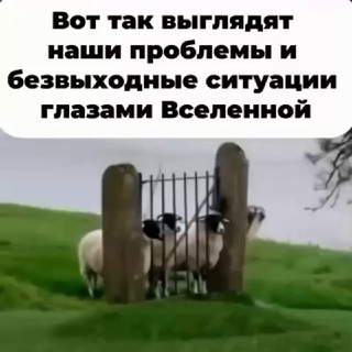 ЛАРА ПРО СЧАСТЬЕ - помогу создать состояние "Спокойно хорошо" во всех сферах жизни