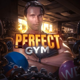 Perfect Gym