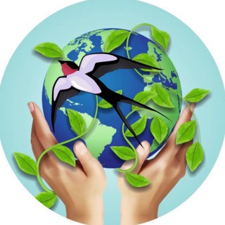 Пансионат "Ласточка" 𓅨