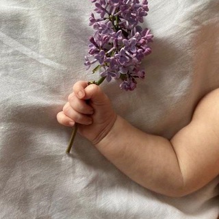 🤍ГВ- Основа Жизни🤍