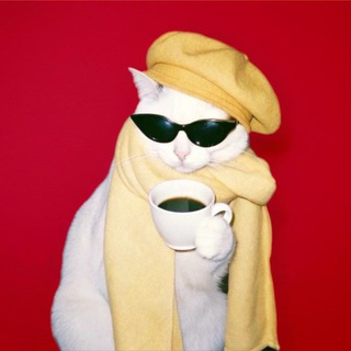 Латте на пустырнике