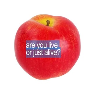 Лайла не врёт