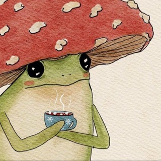 🐸 Laymand Succulents