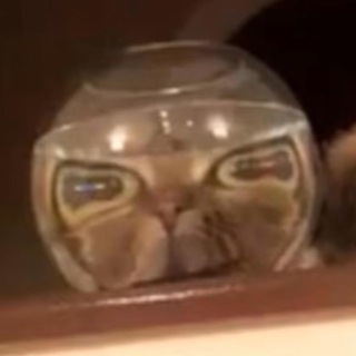 Мемы для ленивых пиздюков