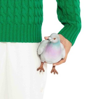 Ленивый голубь