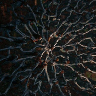 Записки Грейс • язык на'ви