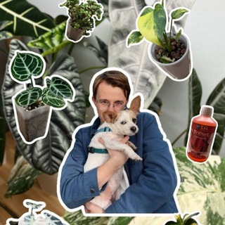 Лист за листом | Костя