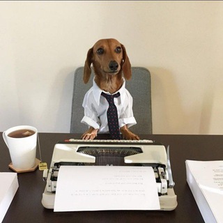 L.ecYA | Промышленное гадство