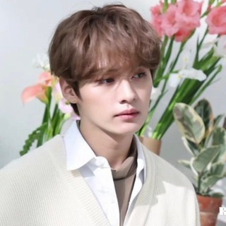 ⌗ lee know is c͟͟u͟͟t͟͟e͟͟ ` 민호 ৎ