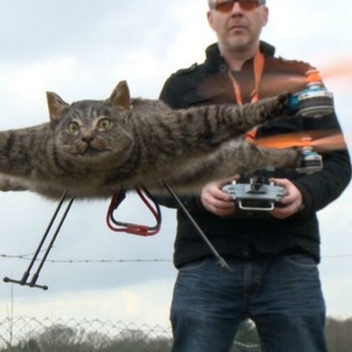 Феноменология левого кринжа ☭