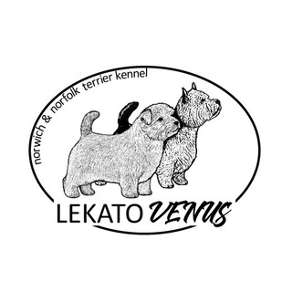 ЛЕКАТО ВЕНУС- Норвич, Норфолк терьер