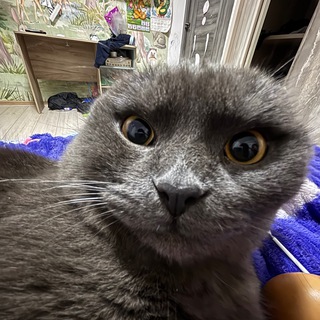 𐌡ё᧘ᥙκ.🤍🎐