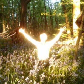 Елена Хабарова-Гонсалес • Живое Знание