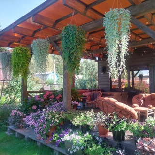 У Цветочницы на даче🪻