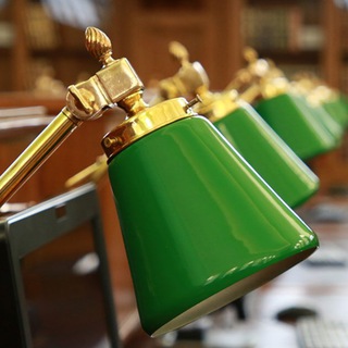 Ленинка в фокусе