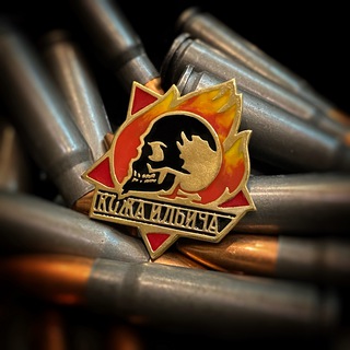 Кожа Ильича